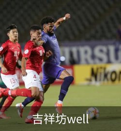 吉祥坊well案例